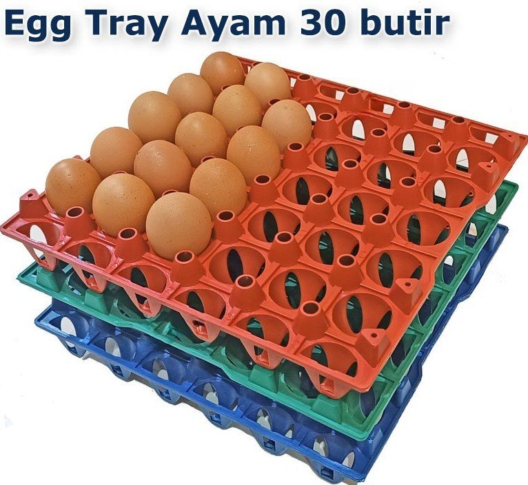 Egg Tray