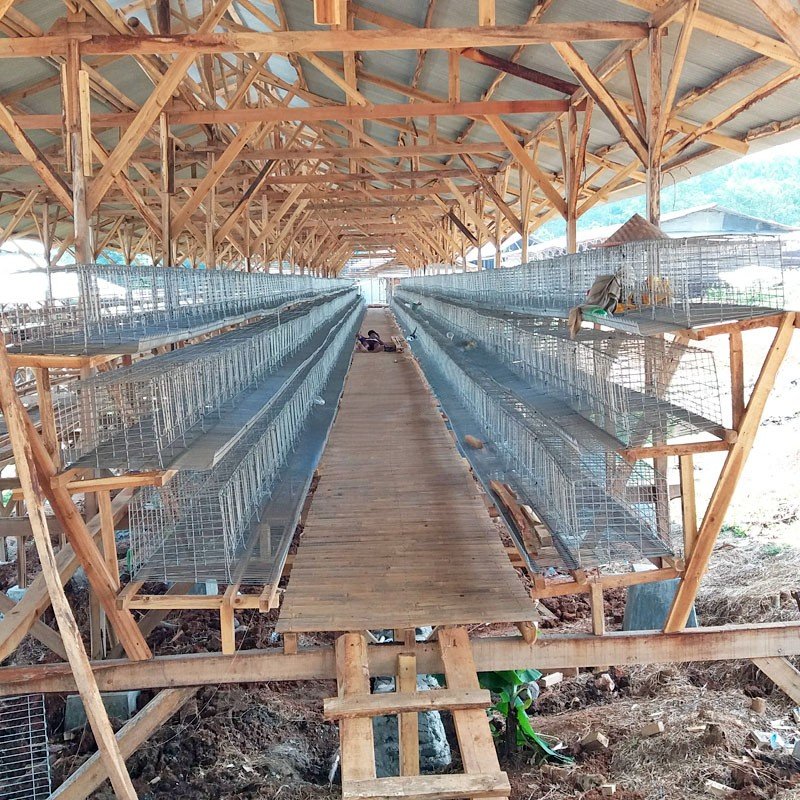 Kandang Ayam Galvanis